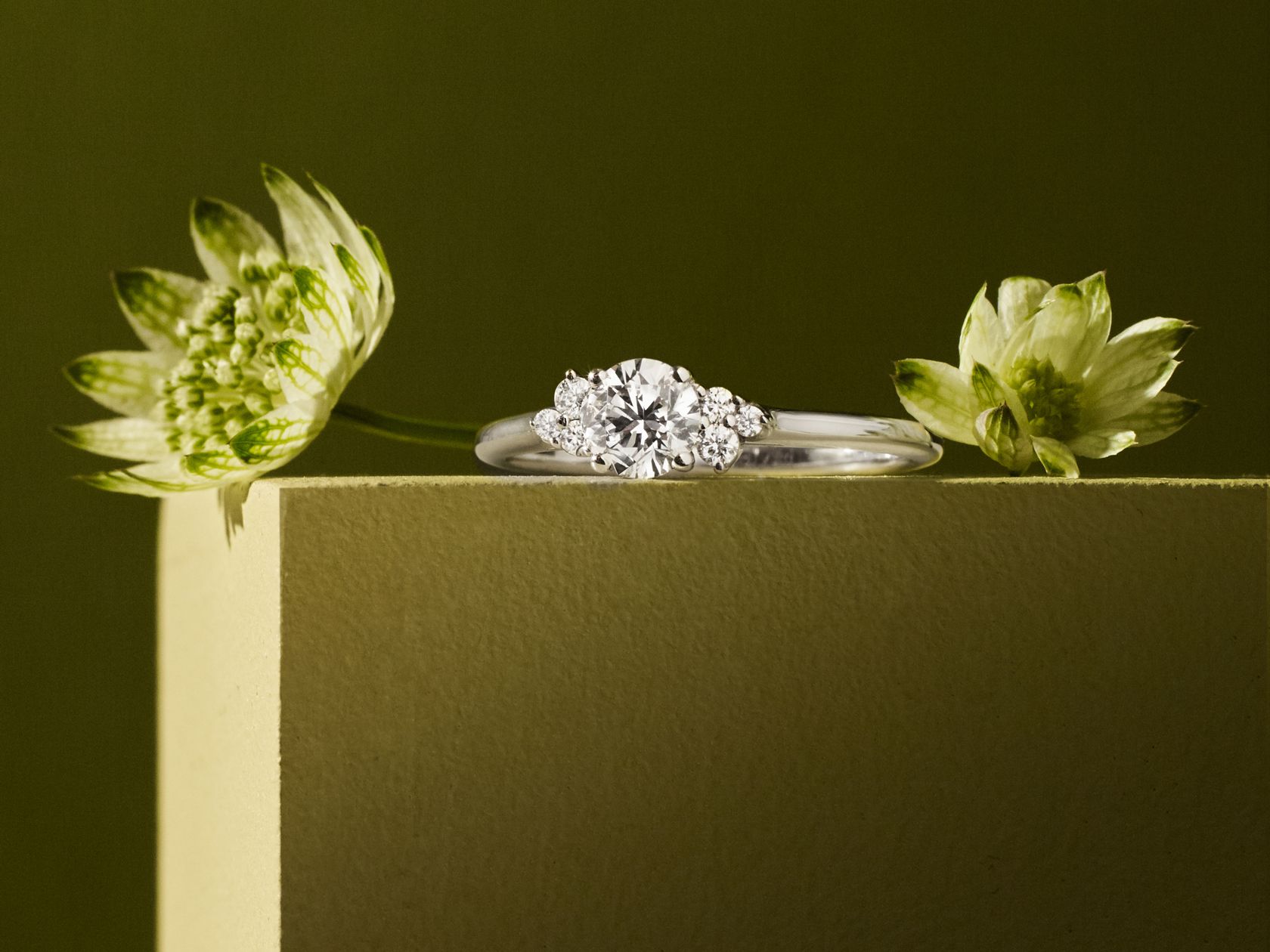 Bague Baby EverBloom 5 mm