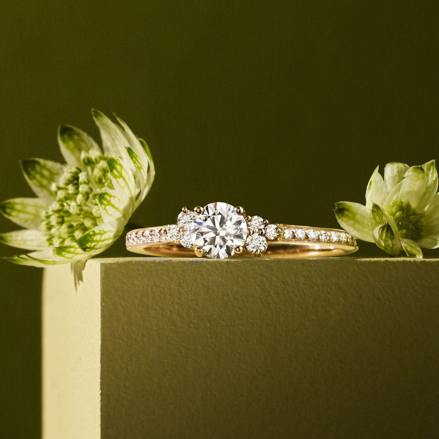 Bague Baby EverBloom 5 mm Pavée zoom