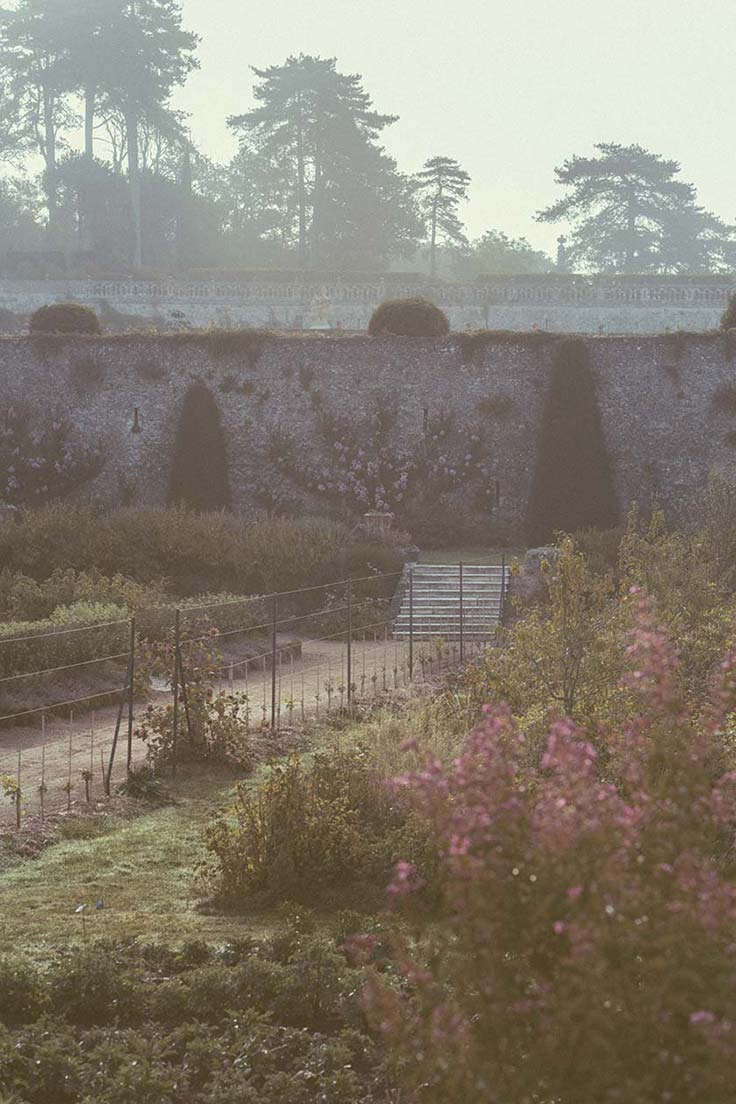 Brume jardin