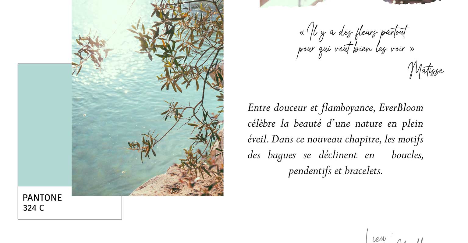 EverBloom : Chapitre II - Avant-propos