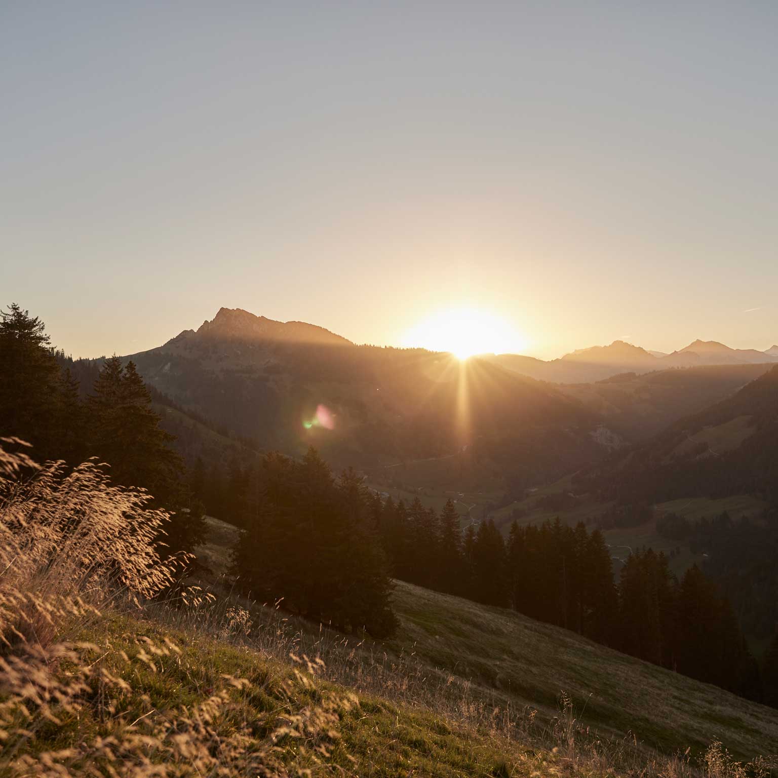 Ambiance paysage suisse