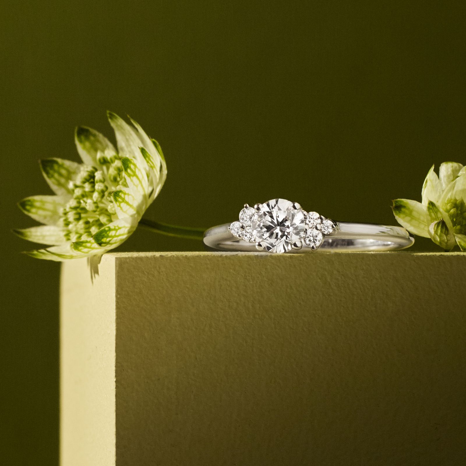 リング ホワイトゴールド アクアマリンとダイヤモンド Baby EverBloom 5 mm 4